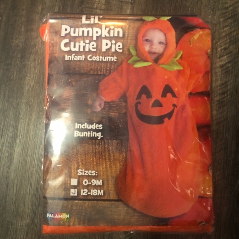 NWT Pumpkin Bunting Bag Costume - Infant